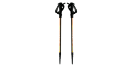 BATONS DE RANDONNEE